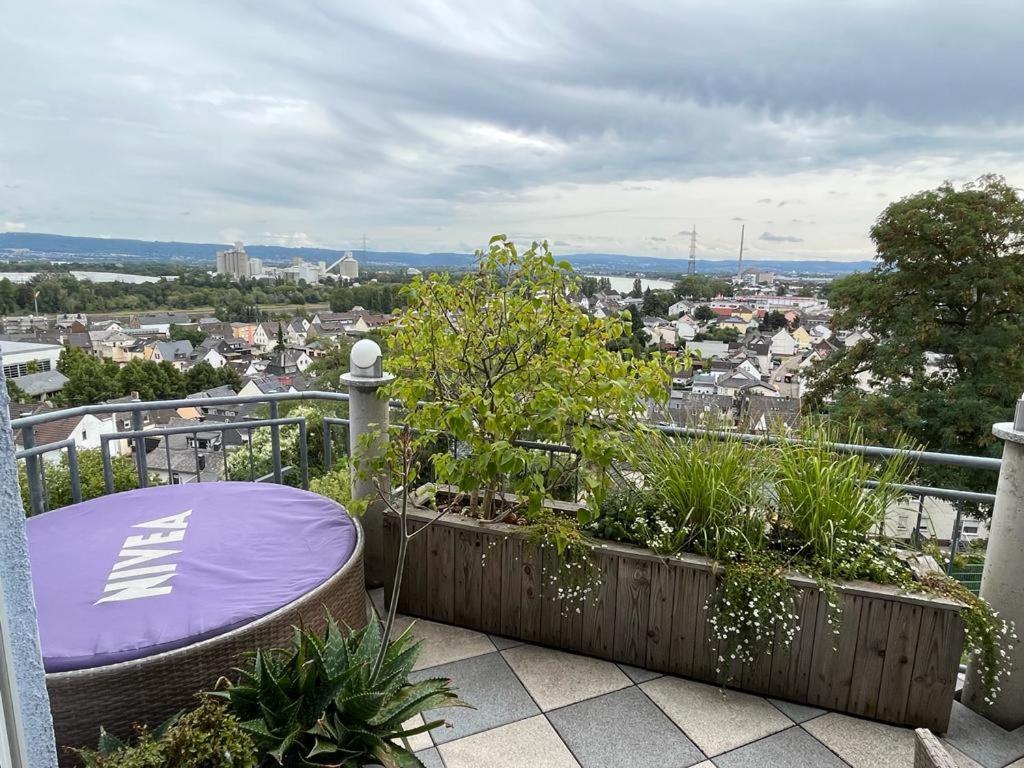Zum Schoenen Ausblick Weissenthurm Exterior foto